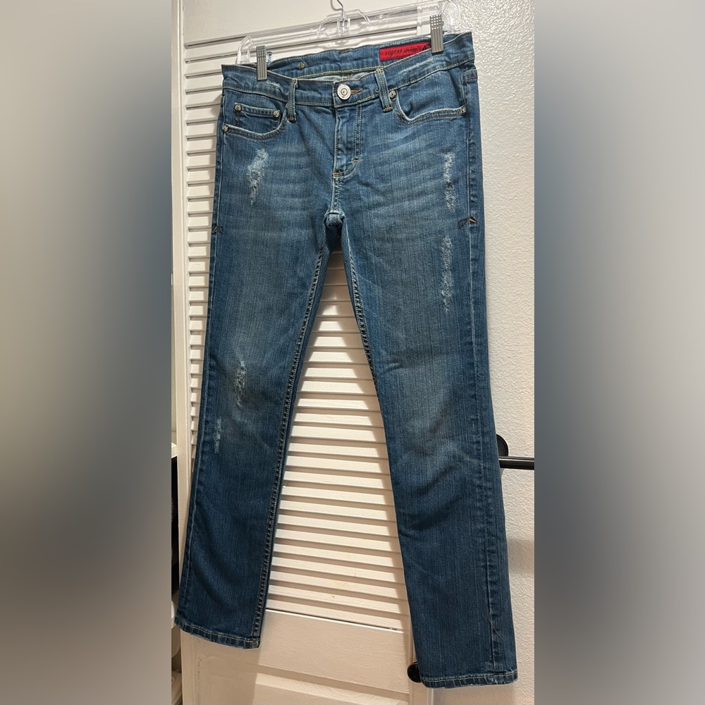 Vigoss Women's Distressed  Jeans in Blue